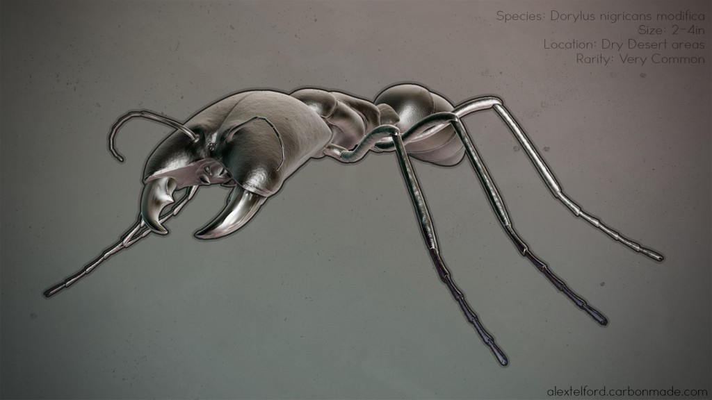 Ant topology study preview image 1